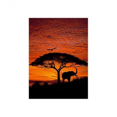 Fotomural Komar African Sunset 4-501